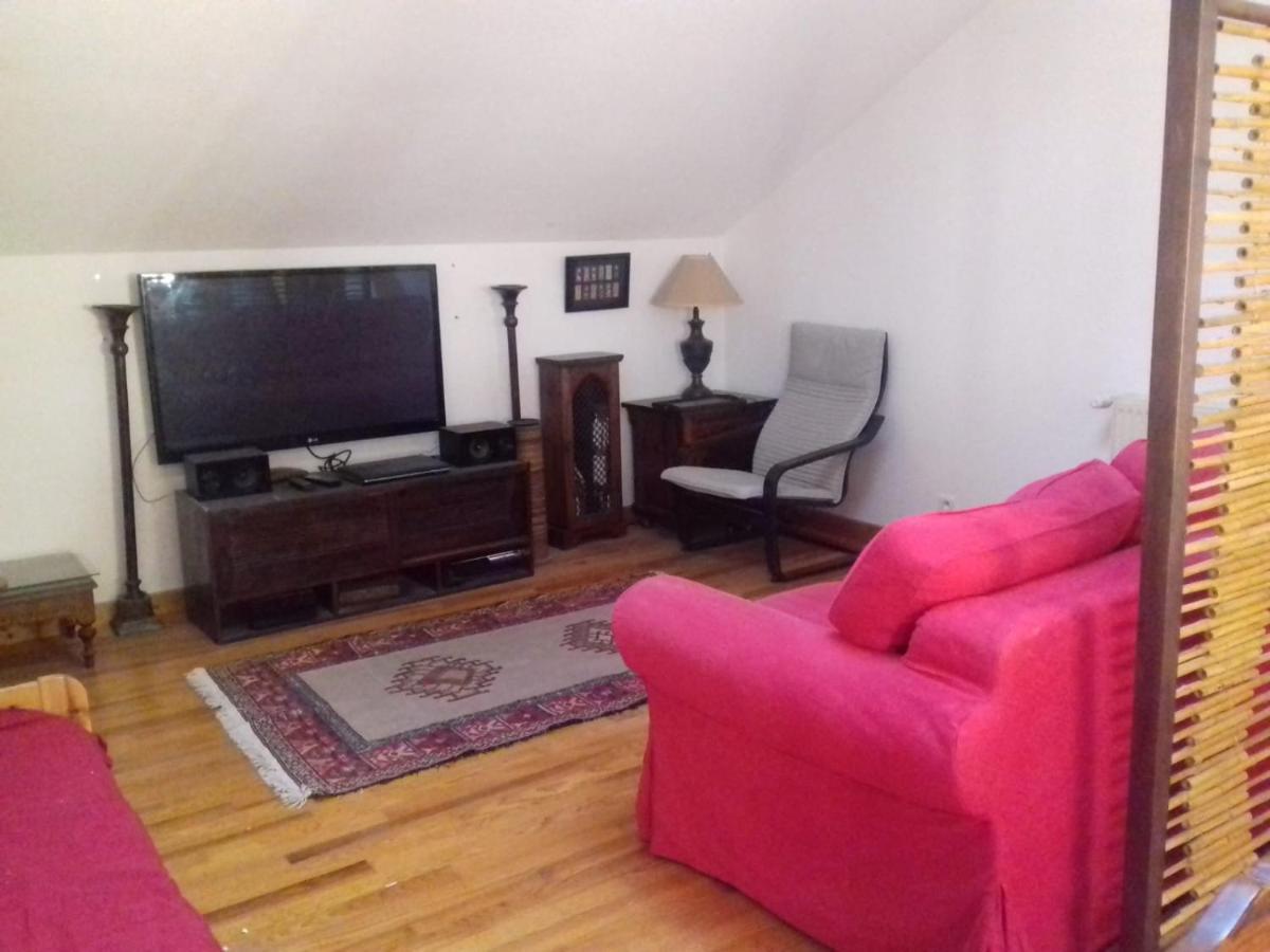 Appartement En Loft 50M2 Dans Maison Avec Chambre En Mezzanine Et Canapes Lits Dans Salon Saint-Pierre-de-Chartreuse Exteriör bild